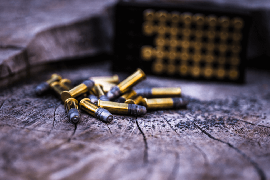 Ammo That is on a Piece of Wood As Well As in Its Carrier