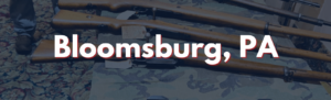 Bloomsburg Gun Shows